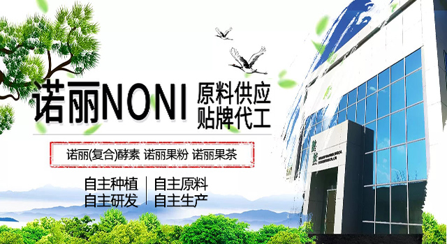 海南小小诺诺小果诺丽果酵素一站式服务